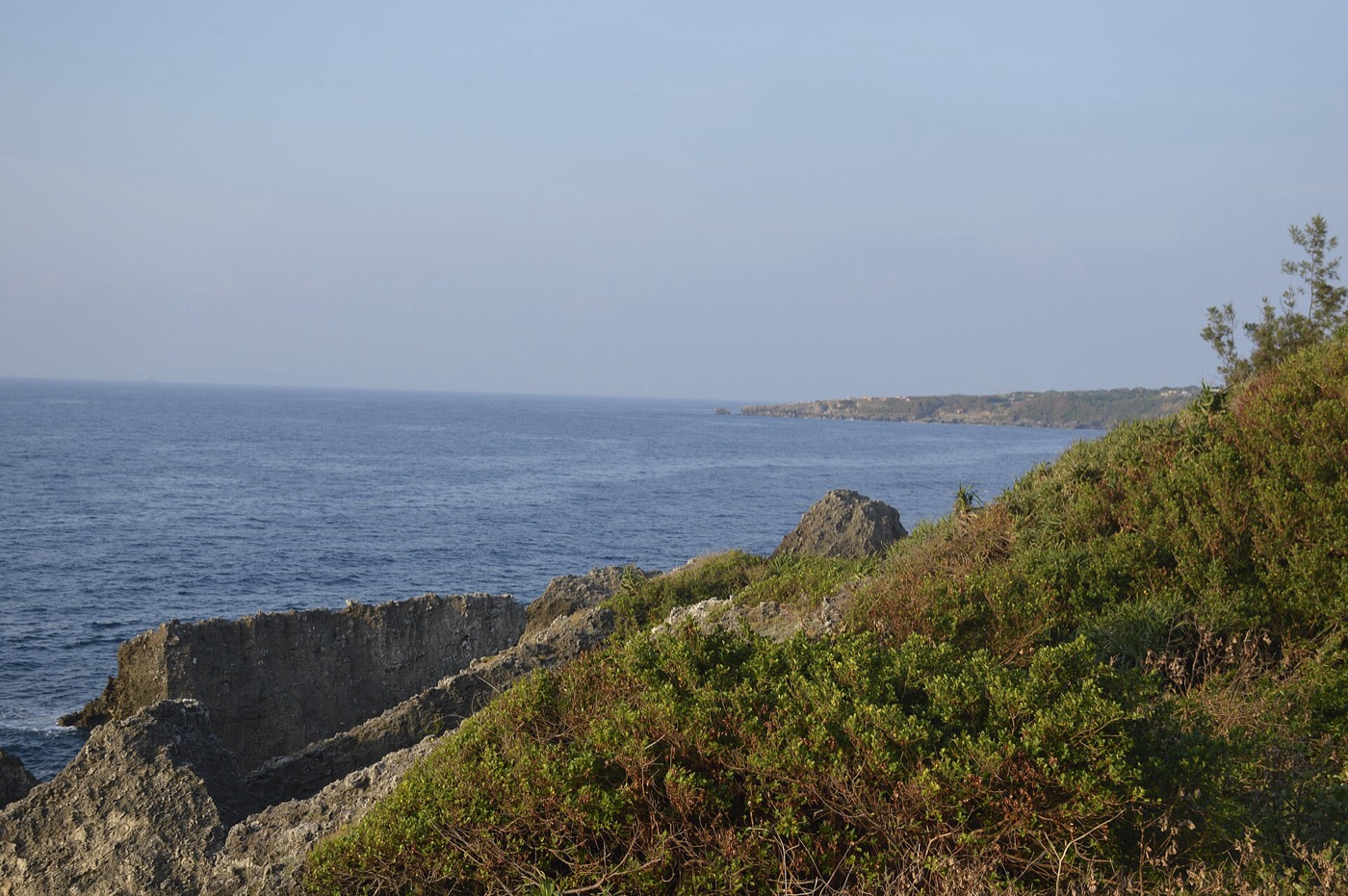 烏鬼洞園區海岸，左側是深藍色海面與遠方低平的岬角，右側是灌木覆蓋的草坡，岸邊有幾塊直立的灰色岩塊