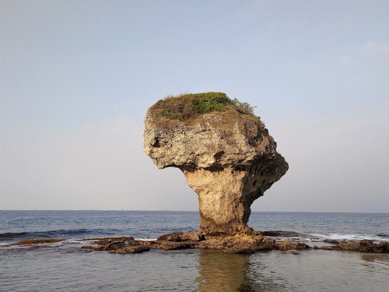 斜射光下的花瓶岩立在平靜海面上，遠景是台灣本島海岸線